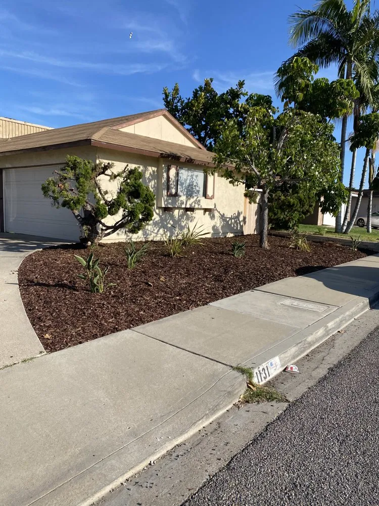 Professional lawn mowing service for homes across Chula Vista, CA - Gone With The Weeds