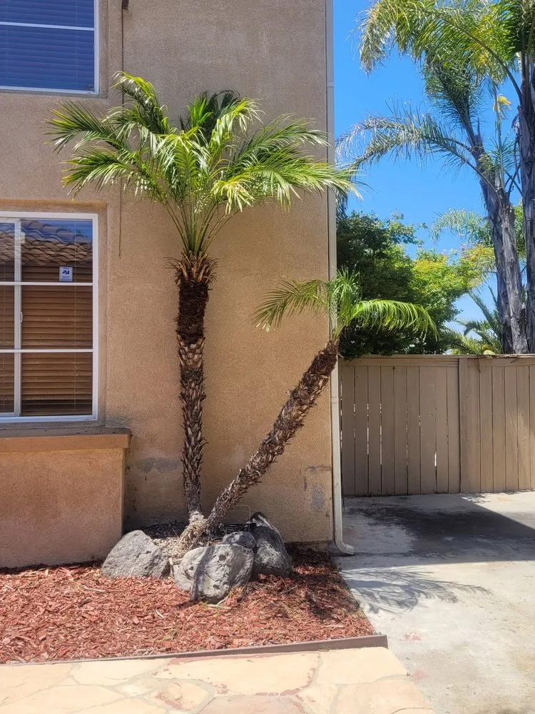 Trusted outdoor landscaping for outdoor upgrades in Chula Vista, CA by Gone With The Weeds