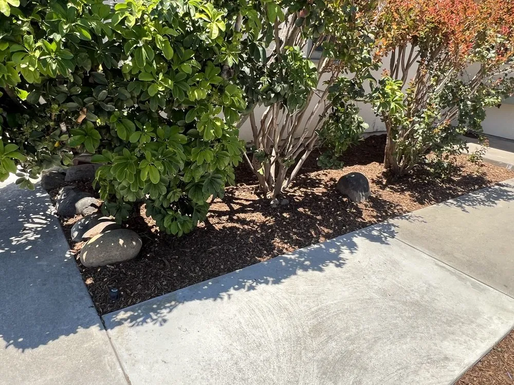 Local lawn care service for outdoor upgrades across Chula Vista, CA - Gone With The Weeds