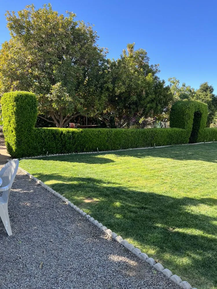 Custom landscape installation in Chula Vista, CA - Gone With The Weeds