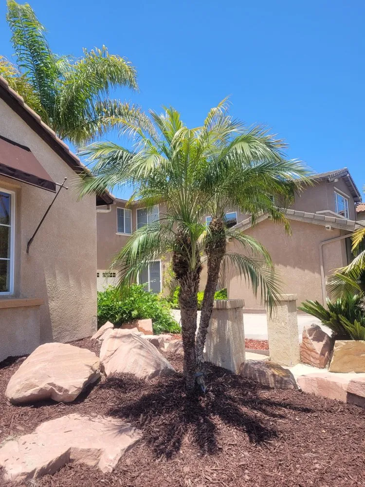 Reliable outdoor landscaping experts serving Chula Vista, CA - Gone With The Weeds