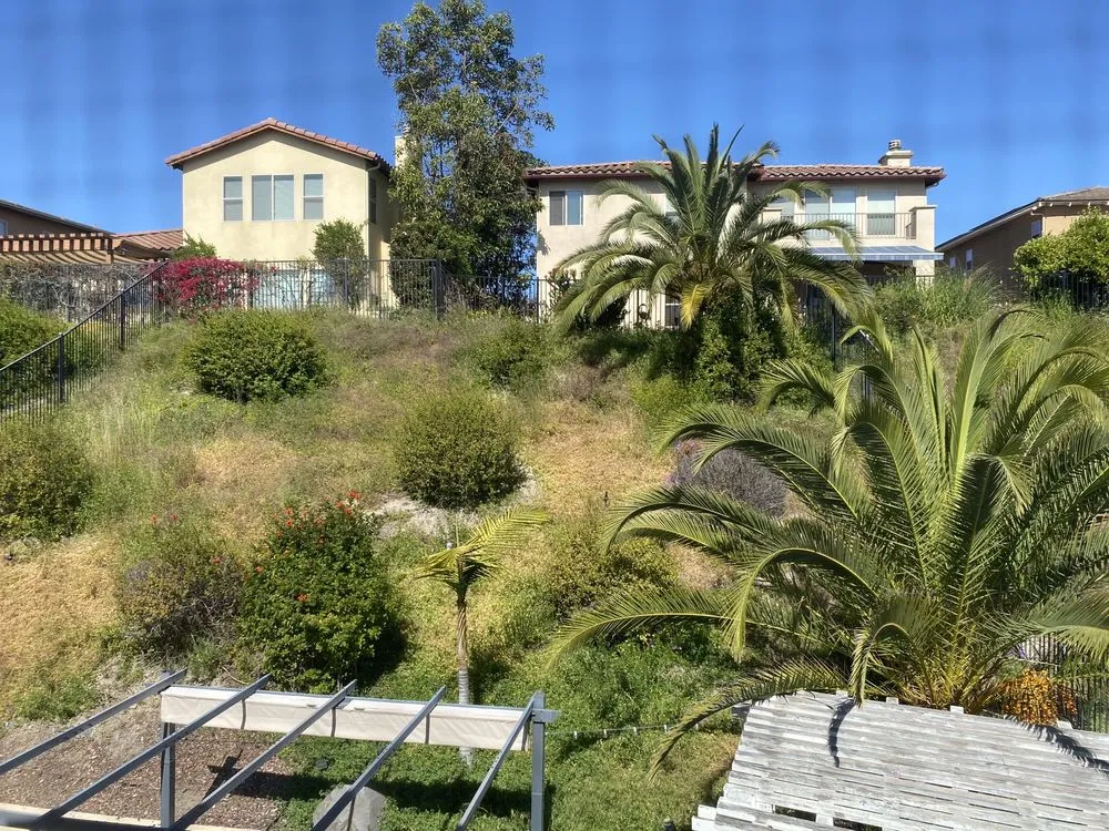 Expert yard maintenance in Chula Vista, CA - Gone With The Weeds