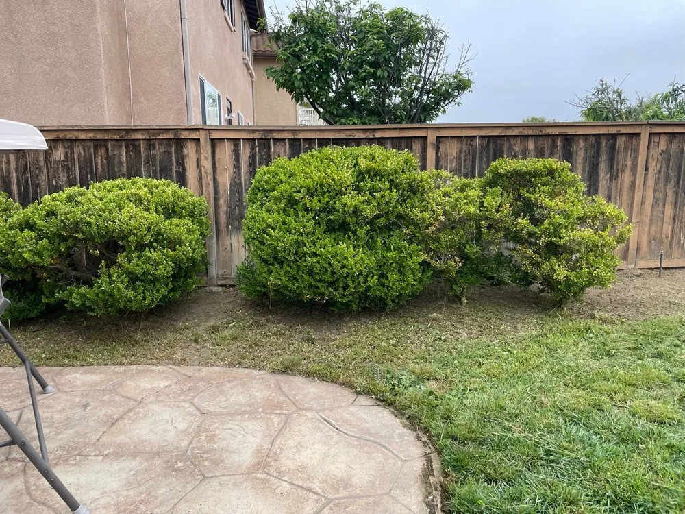 Expert residential landscaping experts serving Chula Vista, CA - Gone With The Weeds