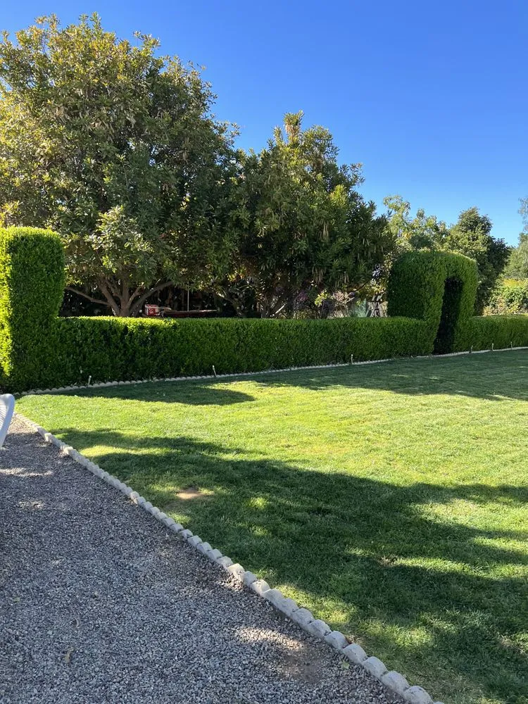 Custom landscape installation in Chula Vista, CA - Gone With The Weeds