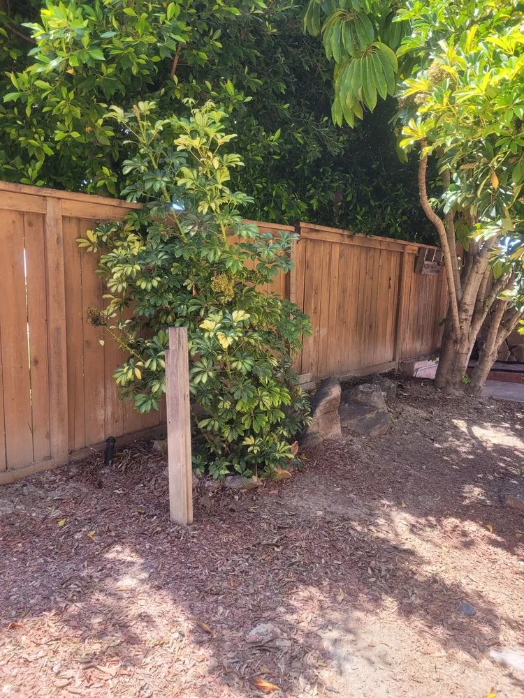 Local landscaping services in Chula Vista, CA by Gone With The Weeds