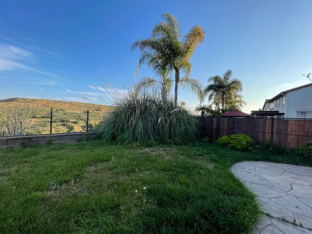 Professional landscaping services for year-round maintenance across Chula Vista, CA - Gone With The Weeds