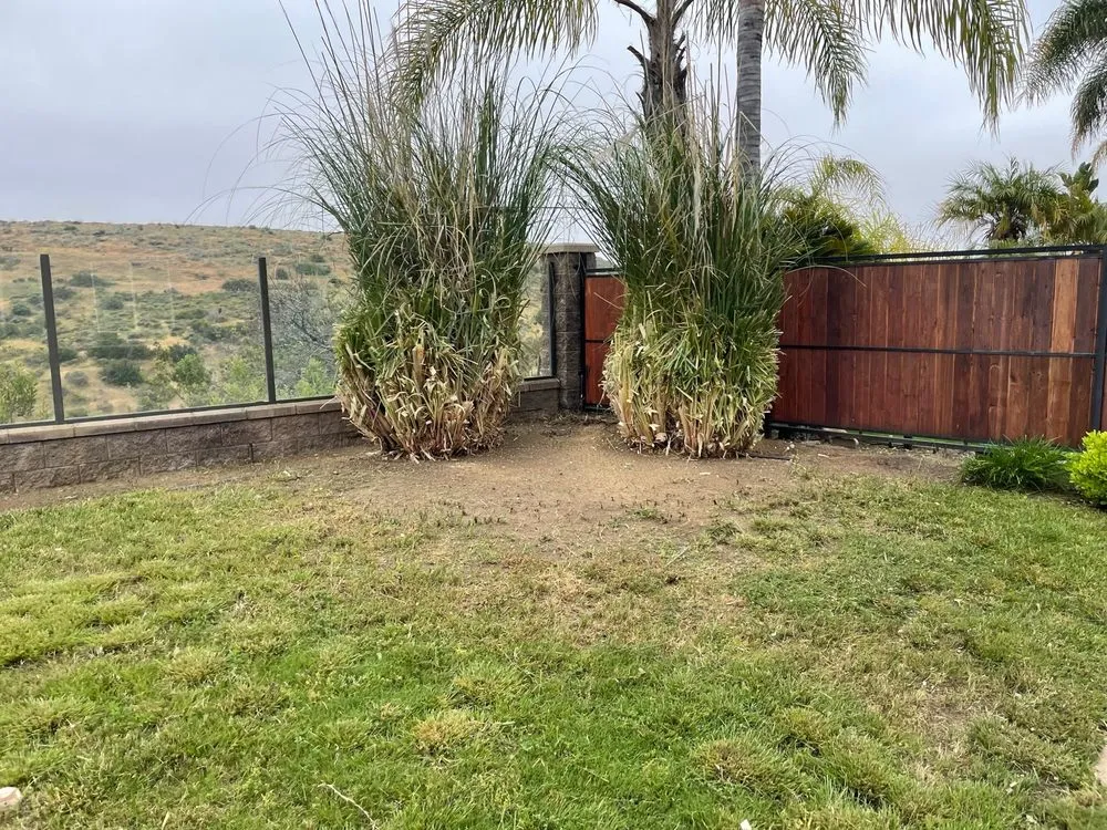 Top-rated residential landscaping experts serving Chula Vista, CA - Gone With The Weeds