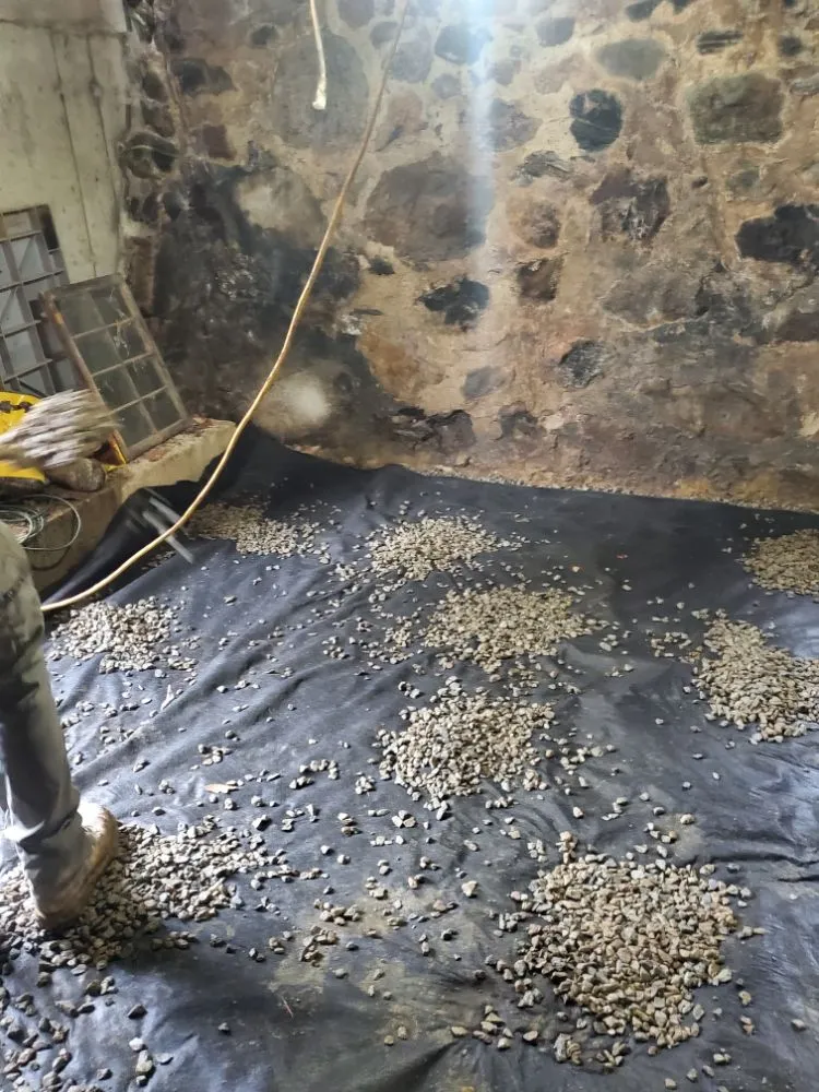 Local landscape installation in New Bedford, MA by Gonsalves Lawncare And Construction