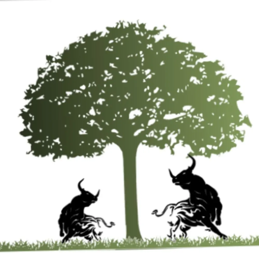 Affordable garden landscaping experts serving Las Vegas, NV - Gonzales & Son