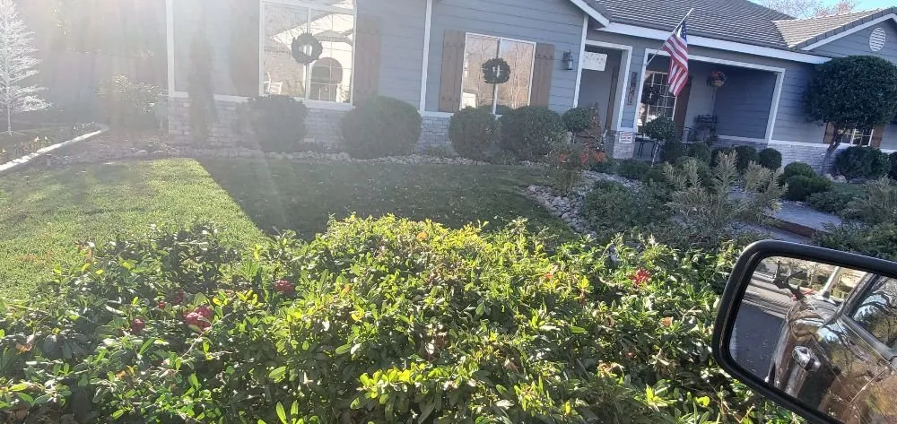 Expert residential landscaping experts serving Las Vegas, NV - Gonzales & Son