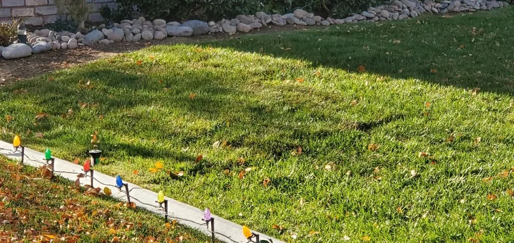 Trusted outdoor landscaping for beautiful yards in Las Vegas, NV by Gonzales & Son