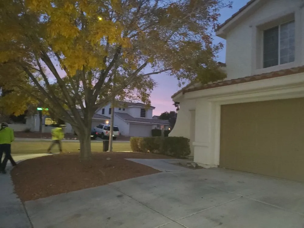 Expert yard maintenance experts serving Las Vegas, NV - Gonzales & Son