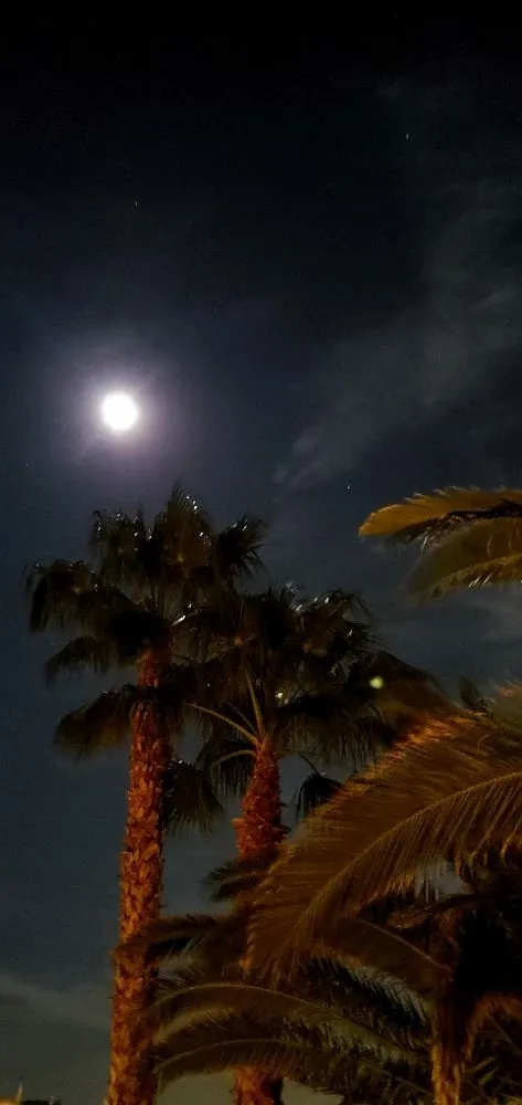 Custom lawn mowing service in Las Vegas, NV by Gonzales & Son