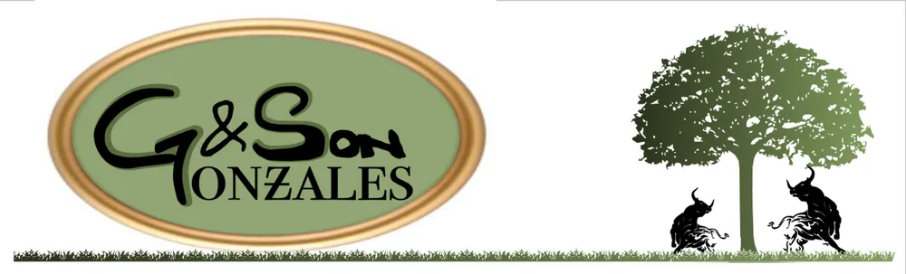 Trusted landscape installation experts serving Las Vegas, NV - Gonzales & Son