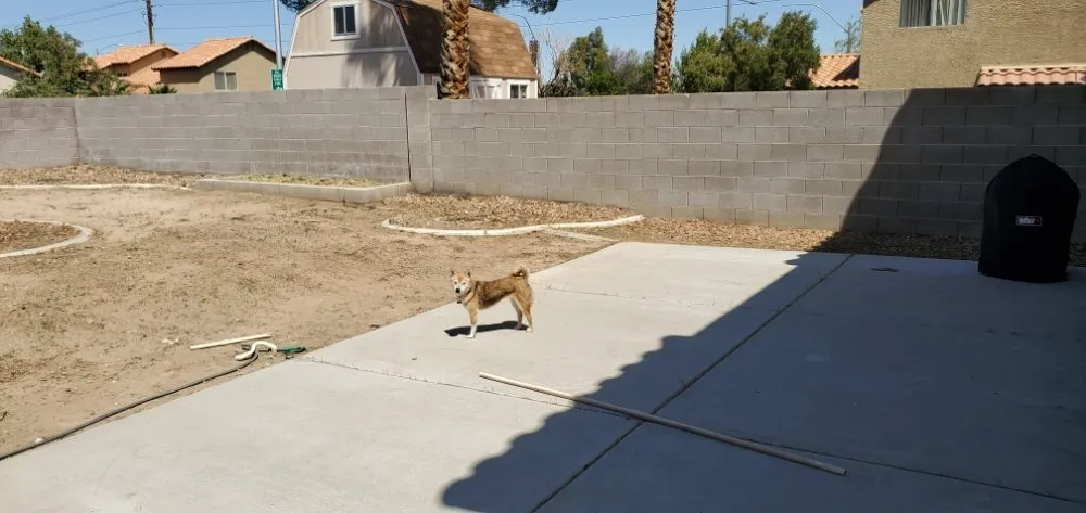 Reliable landscape installation for beautiful yards across Las Vegas, NV - Gonzales & Son