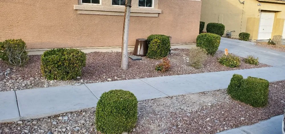 Affordable garden landscaping in Las Vegas, NV by Gonzales & Son