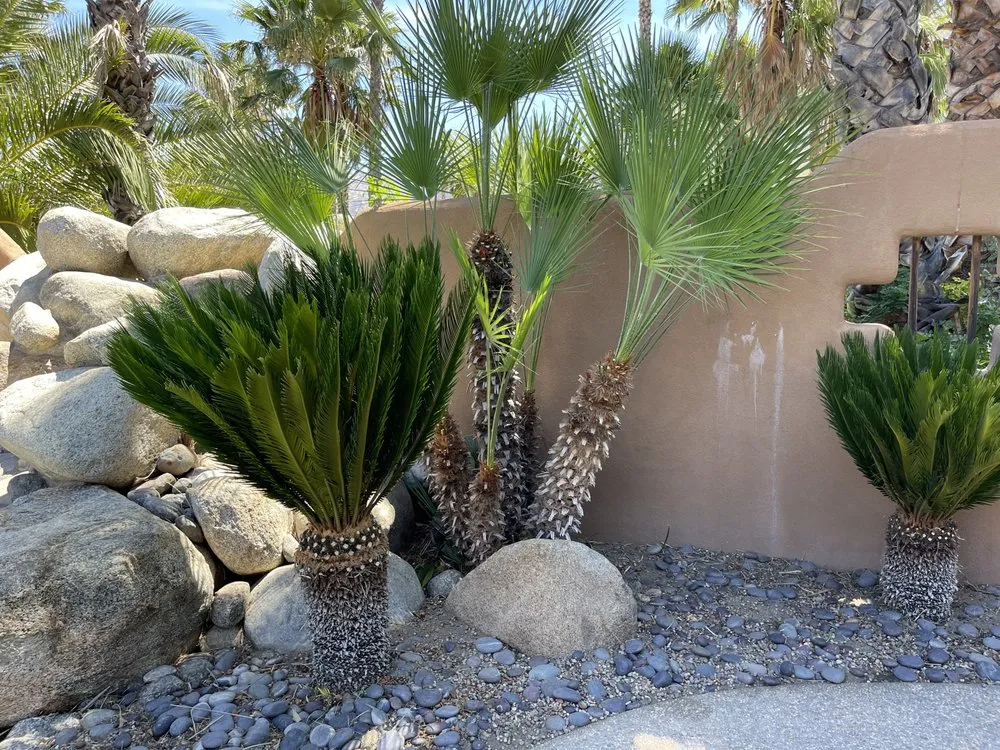 Top-rated yard maintenance for homes in Bonsall, CA by Gonzales Landscape & Tree Service