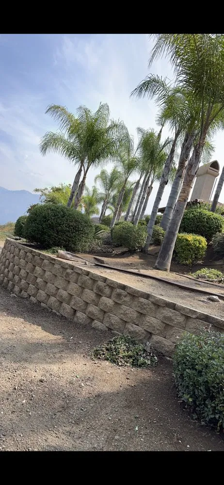 Expert landscaping services in Bonsall, CA by Gonzales Landscape & Tree Service