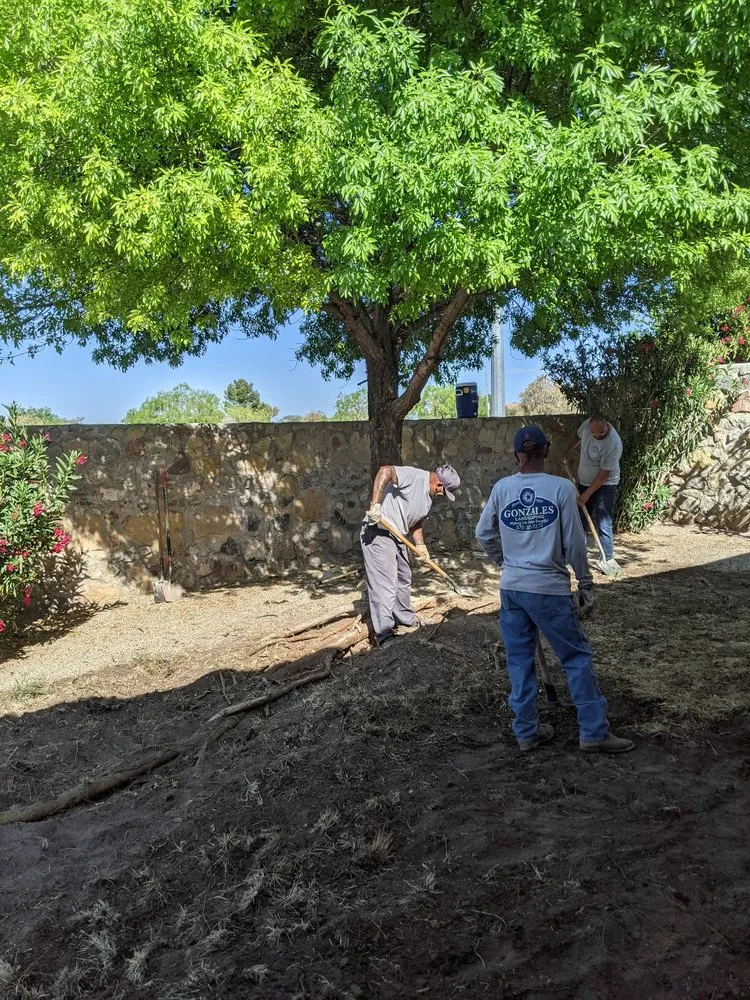 Trusted garden landscaping experts serving Las Cruces, NM - Gonzales Landscape and Irrigation