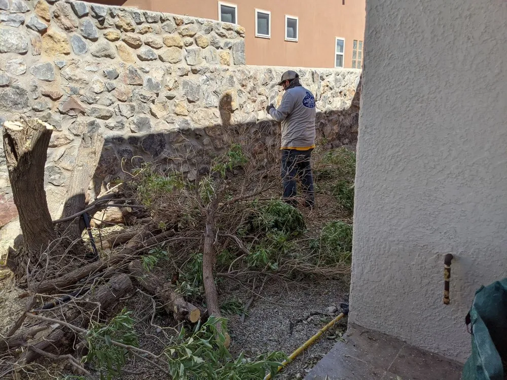 Affordable lawn mowing service experts serving Las Cruces, NM - Gonzales Landscape and Irrigation