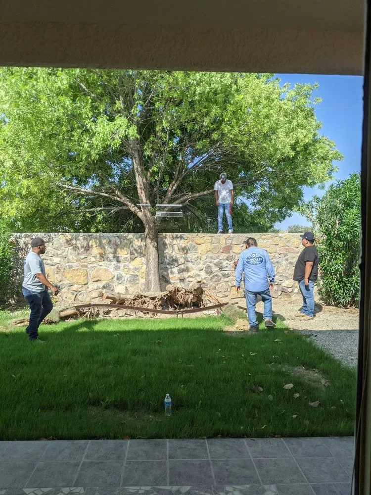 Affordable yard cleanup service in Las Cruces, NM - Gonzales Landscape and Irrigation