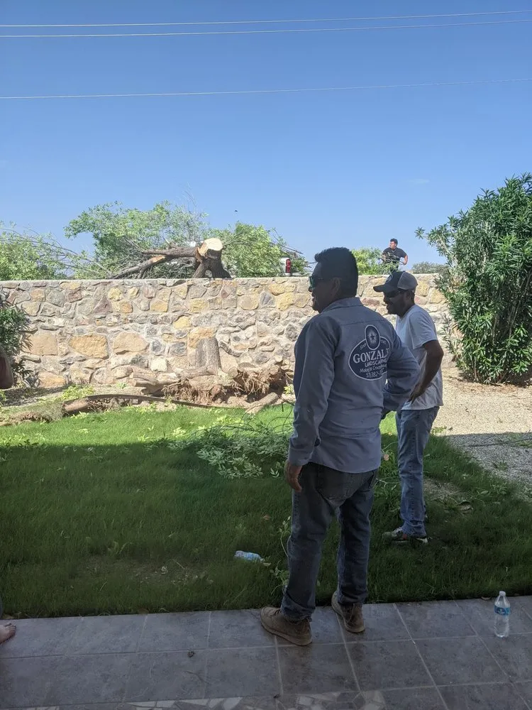 Reliable yard maintenance in Las Cruces, NM by Gonzales Landscape and Irrigation