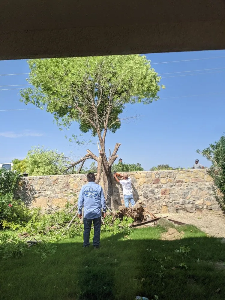 Affordable garden landscaping in Las Cruces, NM by Gonzales Landscape and Irrigation