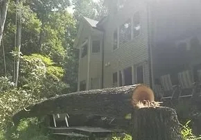 Custom lawn care service in Scottsbluff, NE - Gonzales Landscape Services