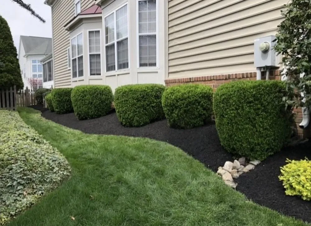 Top-rated residential landscaping in Scottsbluff, NE by Gonzales Landscape Services