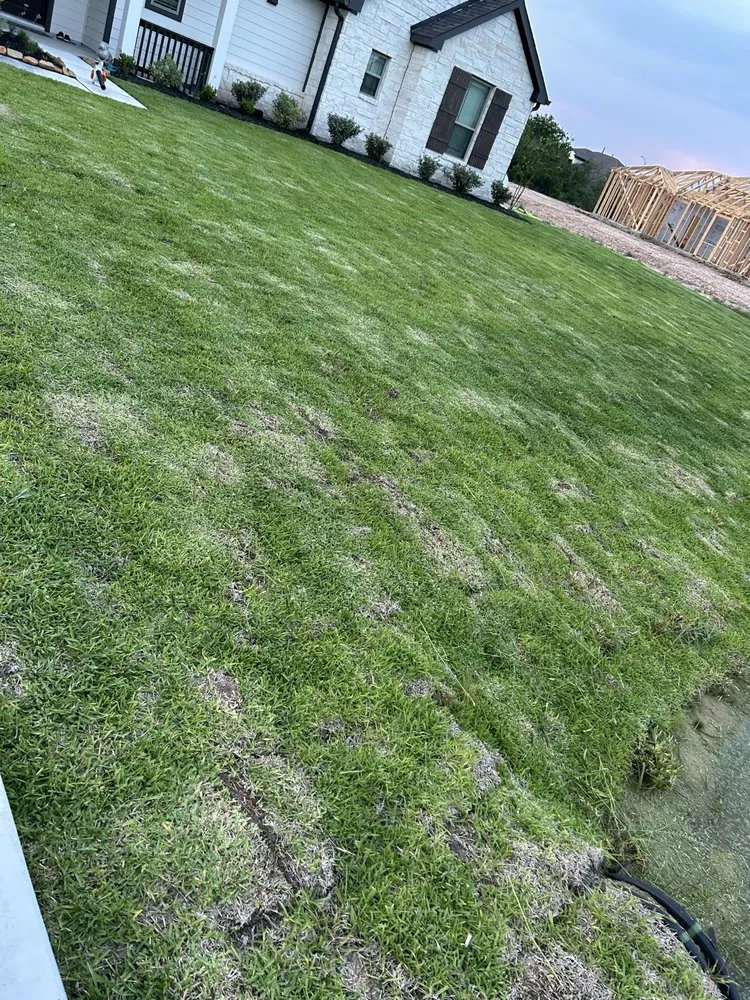 Top-rated outdoor landscaping near you across Alleyton, TX - Gonzales Landscaping