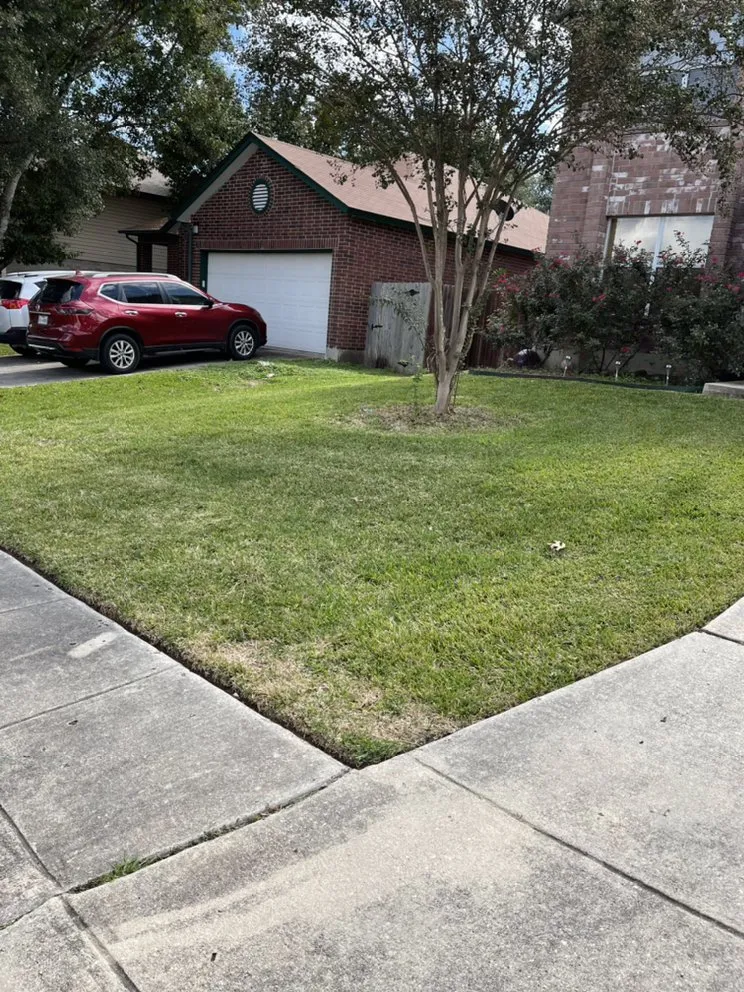 Trusted yard maintenance near you in Elmendorf, TX by Gonzales Landscaping