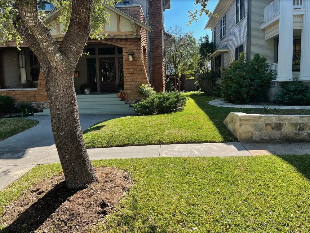 Reliable yard cleanup service near you in Elmendorf, TX by Gonzales Landscaping