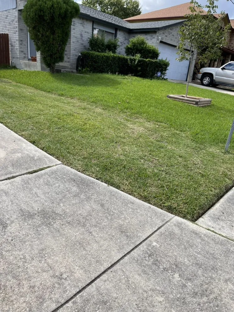 Local landscape installation in Elmendorf, TX by Gonzales Landscaping