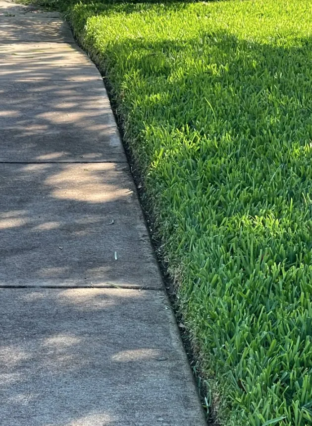 Professional landscape design experts serving Elmendorf, TX - Gonzales Landscaping