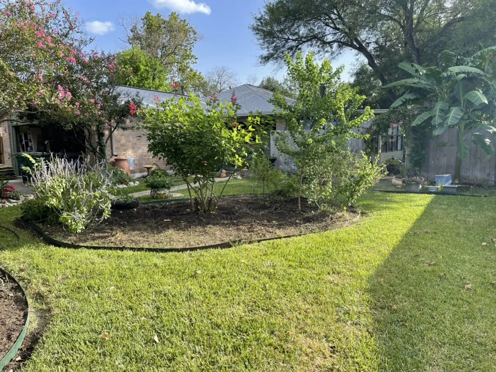 Trusted outdoor landscaping experts serving Elmendorf, TX - Gonzales Landscaping