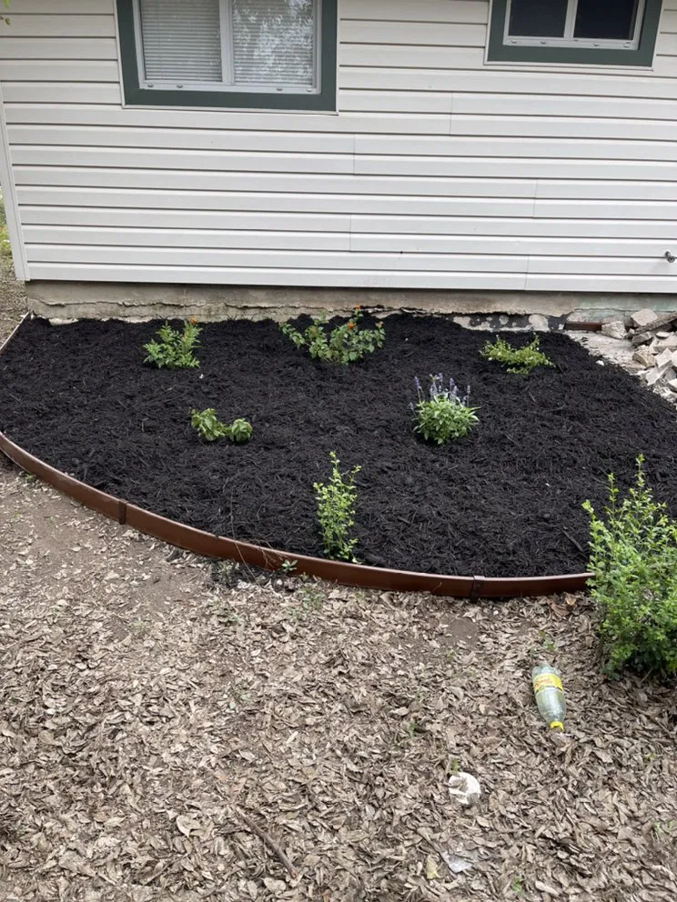 Custom yard maintenance in Elmendorf, TX - Gonzales Landscaping