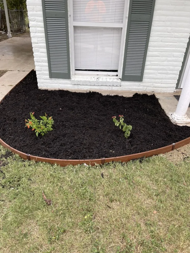 Custom landscaping services for year-round maintenance in Elmendorf, TX by Gonzales Landscaping