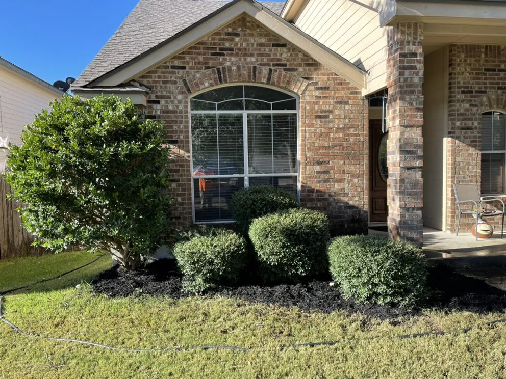 Expert yard maintenance in Elmendorf, TX by Gonzales Landscaping