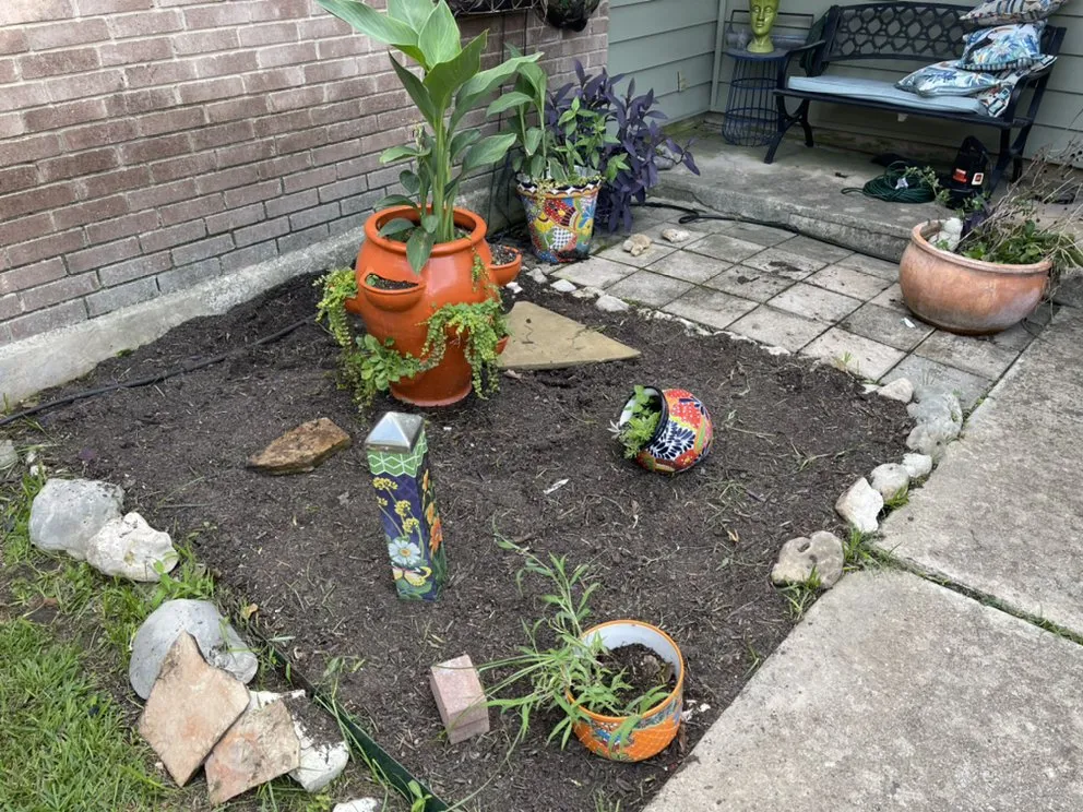 Local lawn care service experts serving Elmendorf, TX - Gonzales Landscaping