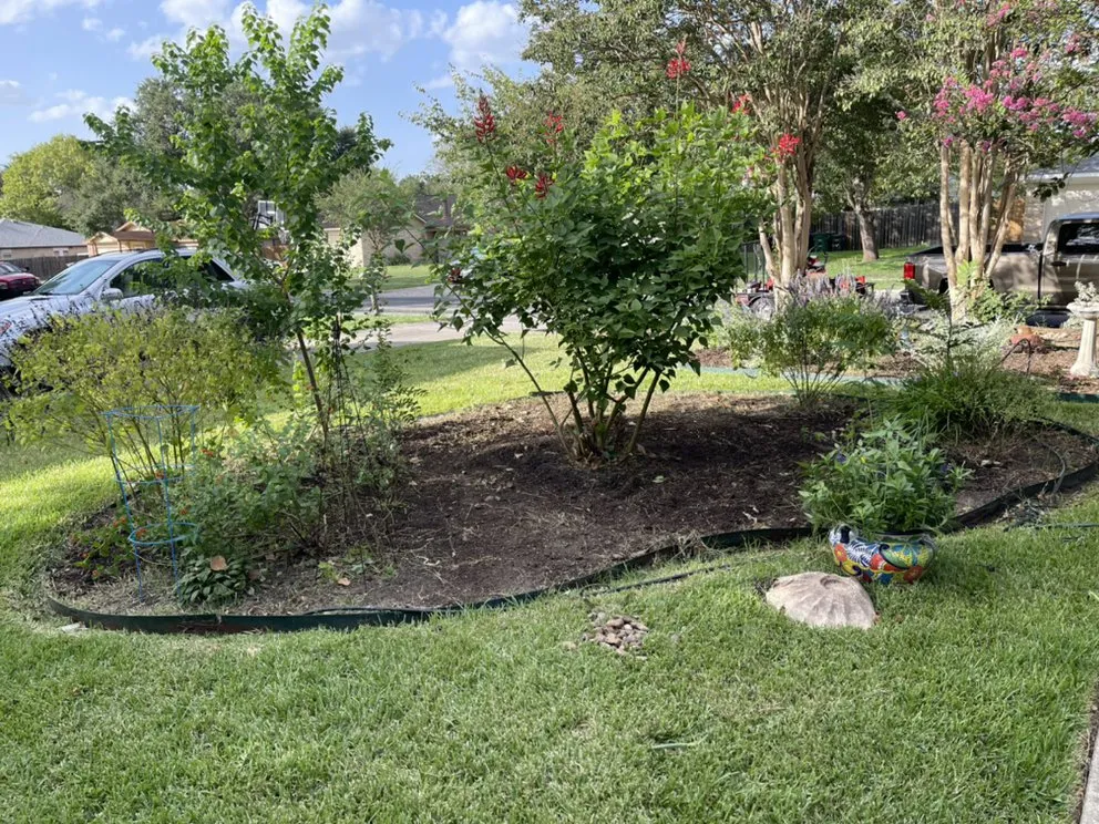 Local landscape design for homes in Elmendorf, TX by Gonzales Landscaping