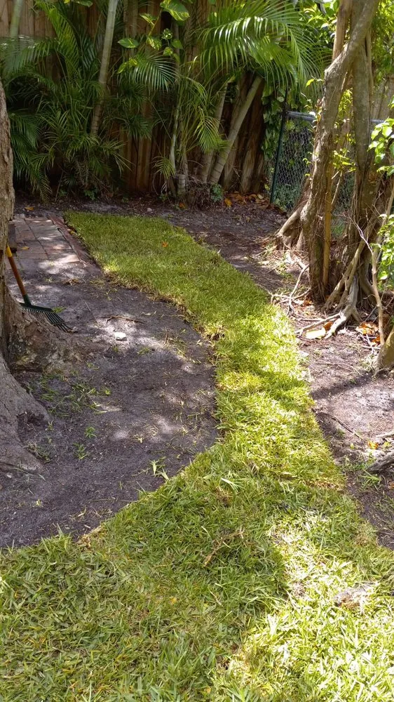 Professional landscaping services in Fort Lauderdale, FL - Gonzales Landscaping