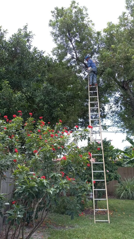 Top-rated landscaping services experts serving Fort Lauderdale, FL - Gonzales Landscaping