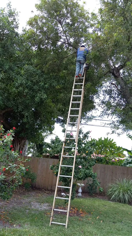 Expert landscaping services in Fort Lauderdale, FL by Gonzales Landscaping