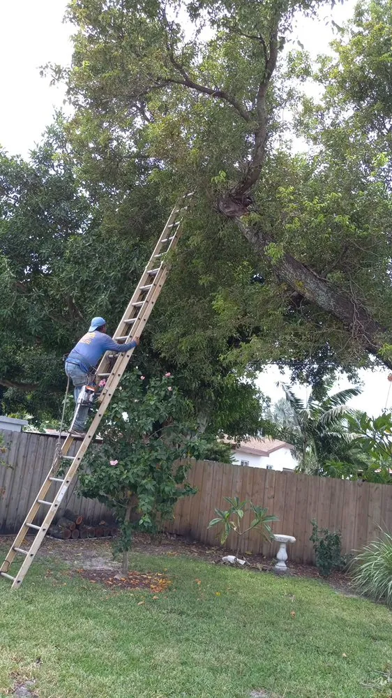 Trusted lawn mowing service in Fort Lauderdale, FL - Gonzales Landscaping