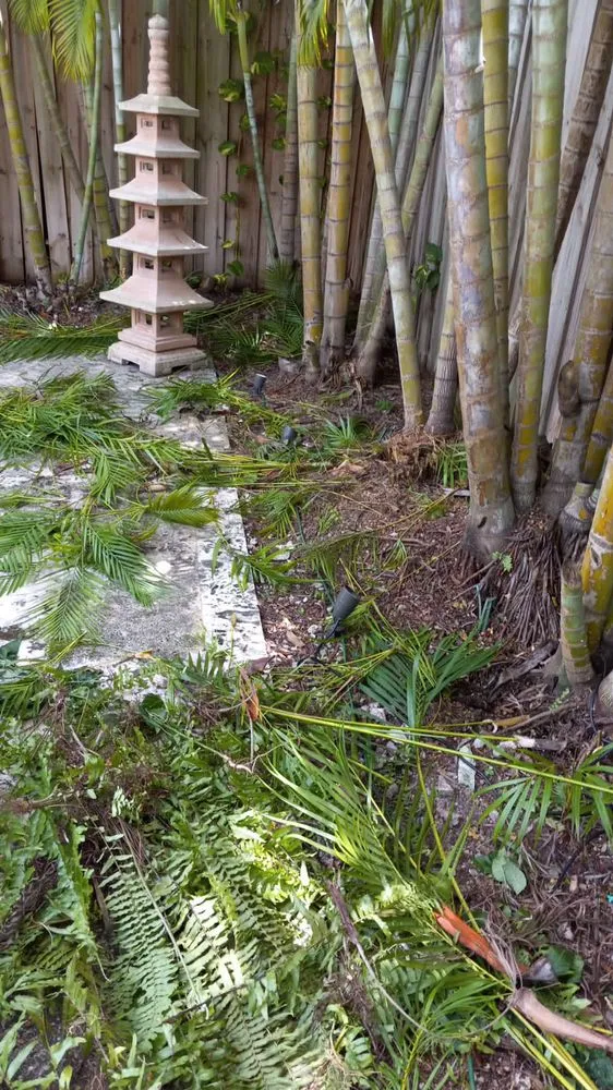 Trusted landscape installation experts serving Fort Lauderdale, FL - Gonzales Landscaping