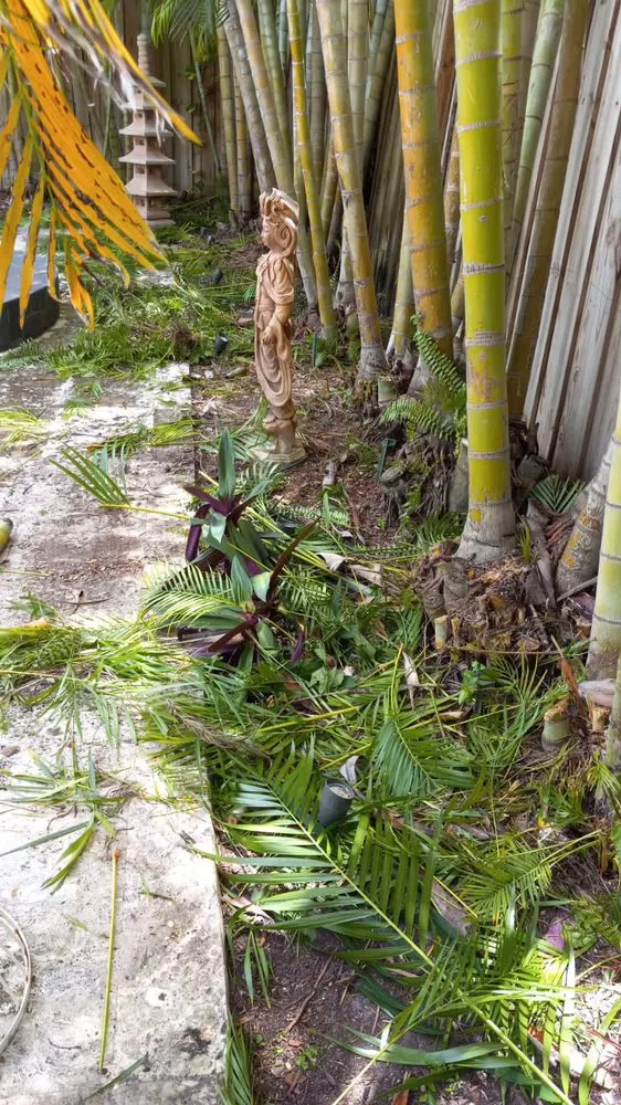 Trusted yard cleanup service in Fort Lauderdale, FL by Gonzales Landscaping