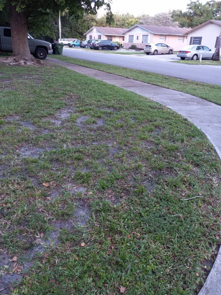 Custom lawn care service in Fort Lauderdale, FL by Gonzales Landscaping