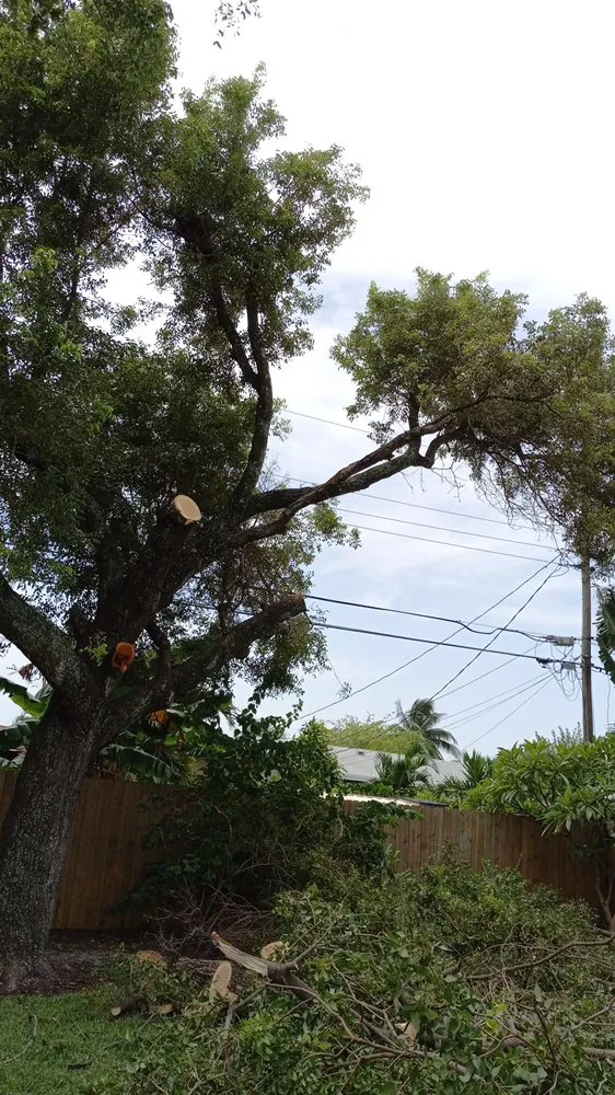 Custom residential landscaping in Fort Lauderdale, FL by Gonzales Landscaping