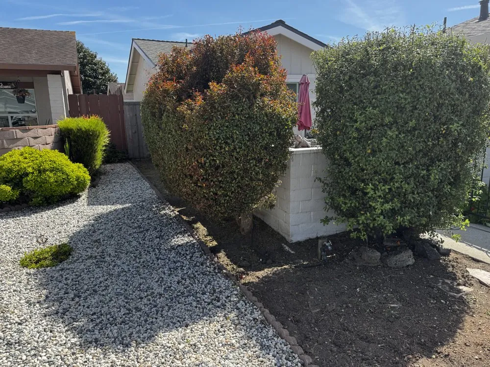Affordable landscape installation in Watsonville, CA by Gonzales Landscaping