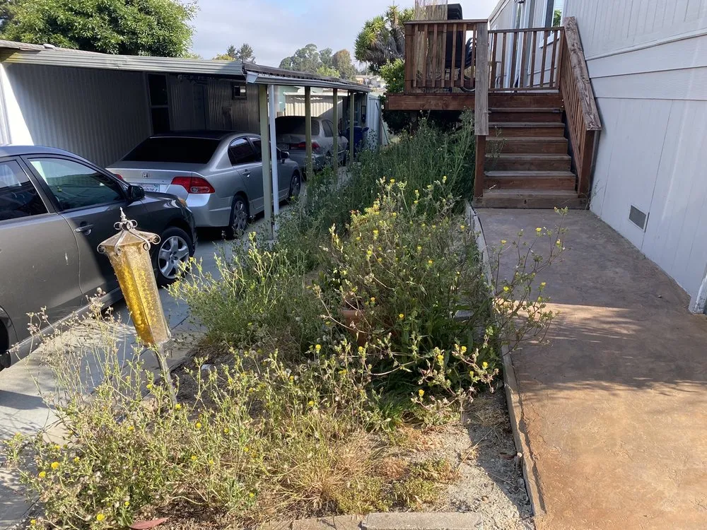 Custom lawn care service in Watsonville, CA - Gonzales Landscaping